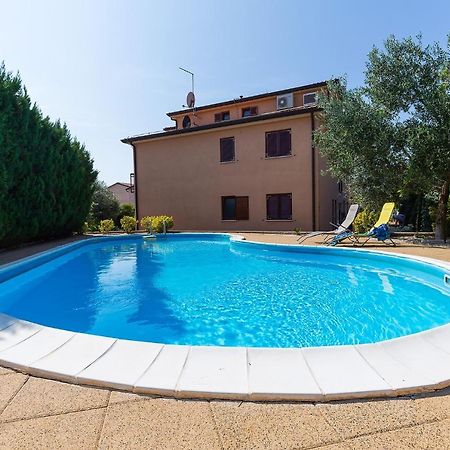 Apartments With A Swimming Pool Novigrad - 7078 Eksteriør billede
